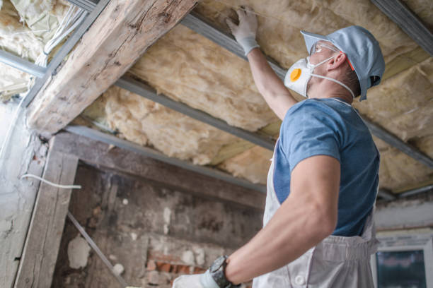 Best Insulation for Specific Applications in Simmesport, LA