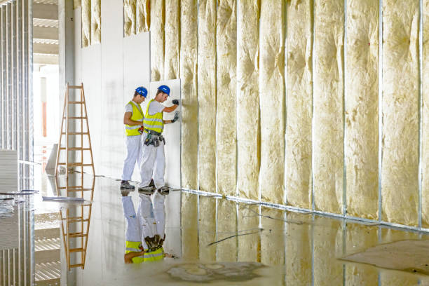 Best DIY Insulation Kits and Guidance in Simmesport, LA